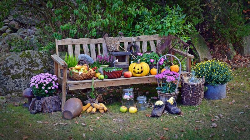 Banc et fleurs