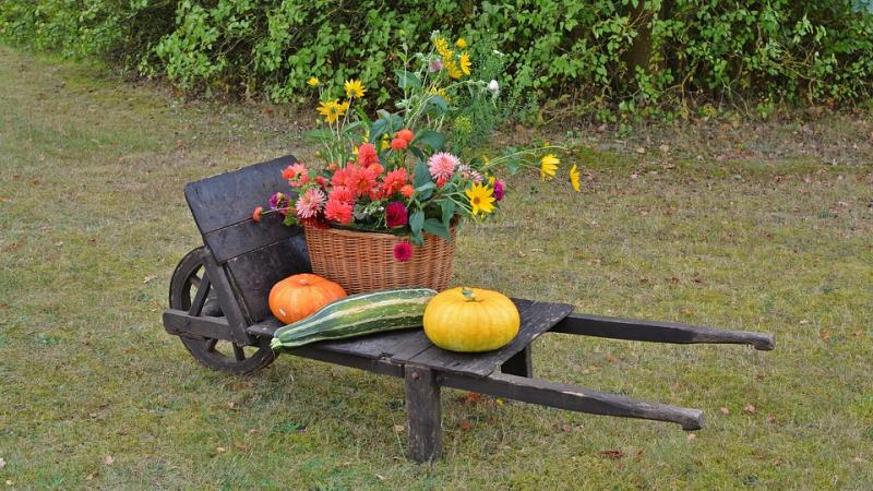 Brouette et legumes